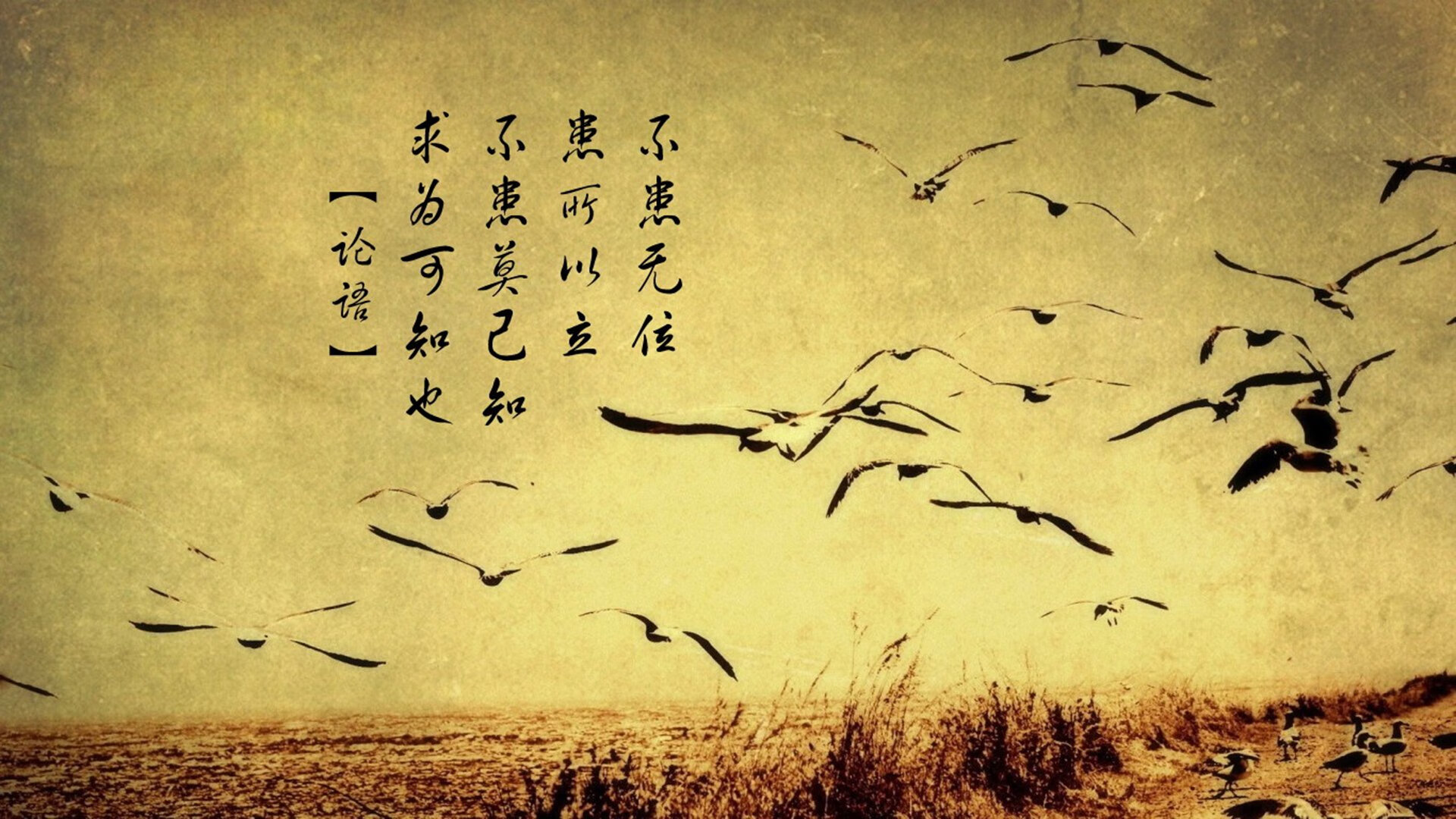 9游电竞站-全国田径大奖赛解放军队包揽冠军,全国田径比赛